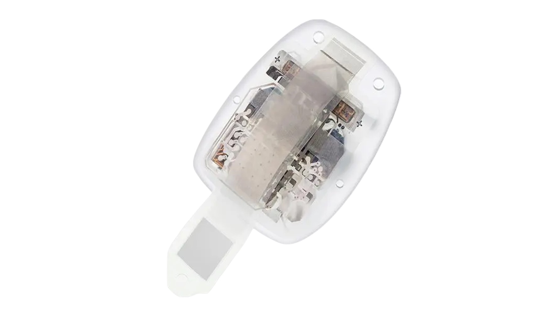 bionic-vision.org | Implants | Science Eye