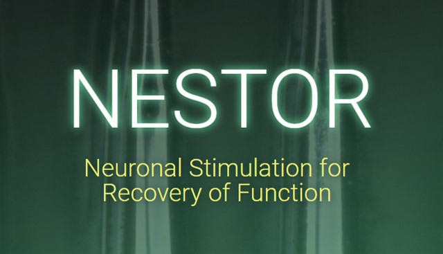 bionic-vision.org | Consortia | Neuronal Stimulation for Recovery of ...