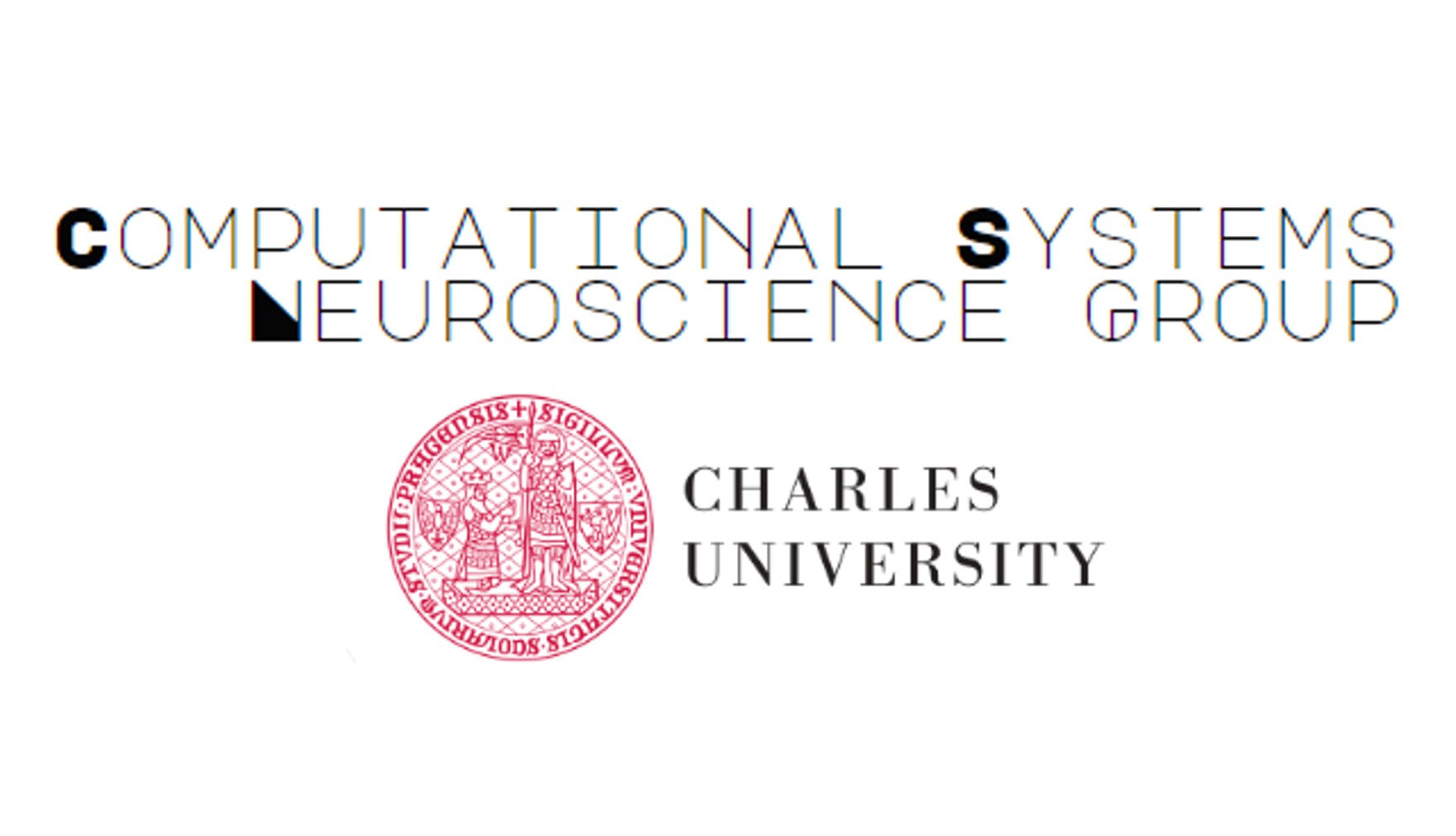 bionic-vision.org | Research Groups | Computational Systems