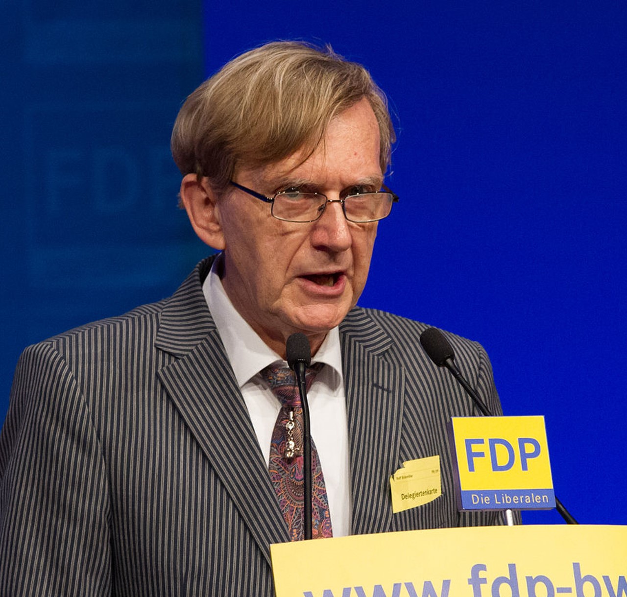 bionic-vision.org | People | Rolf Eckmiller